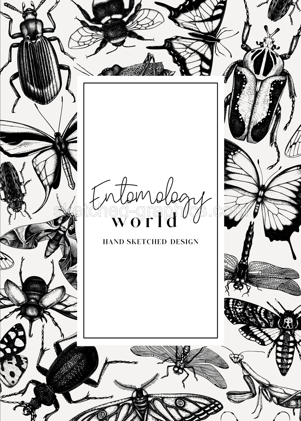 Hand-sketched insect card or invitation template. Hand drawn beetles, bugs, butterflies, dragonfly, cicada, moths, bee illustrations in vintage style. Entomological frame design with insects outlines Illustration